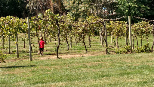 Winery «Cameo Vineyards», reviews and photos, 400 Mill Rd, Greenup, IL 62428, USA
