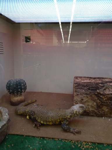 Pet Supply Store «Pet Supplies Plus», reviews and photos, 101 Sutton Ave, Oxford, MA 01540, USA