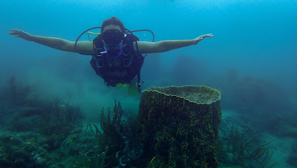 Corales de Paz - Buceo con Propósito