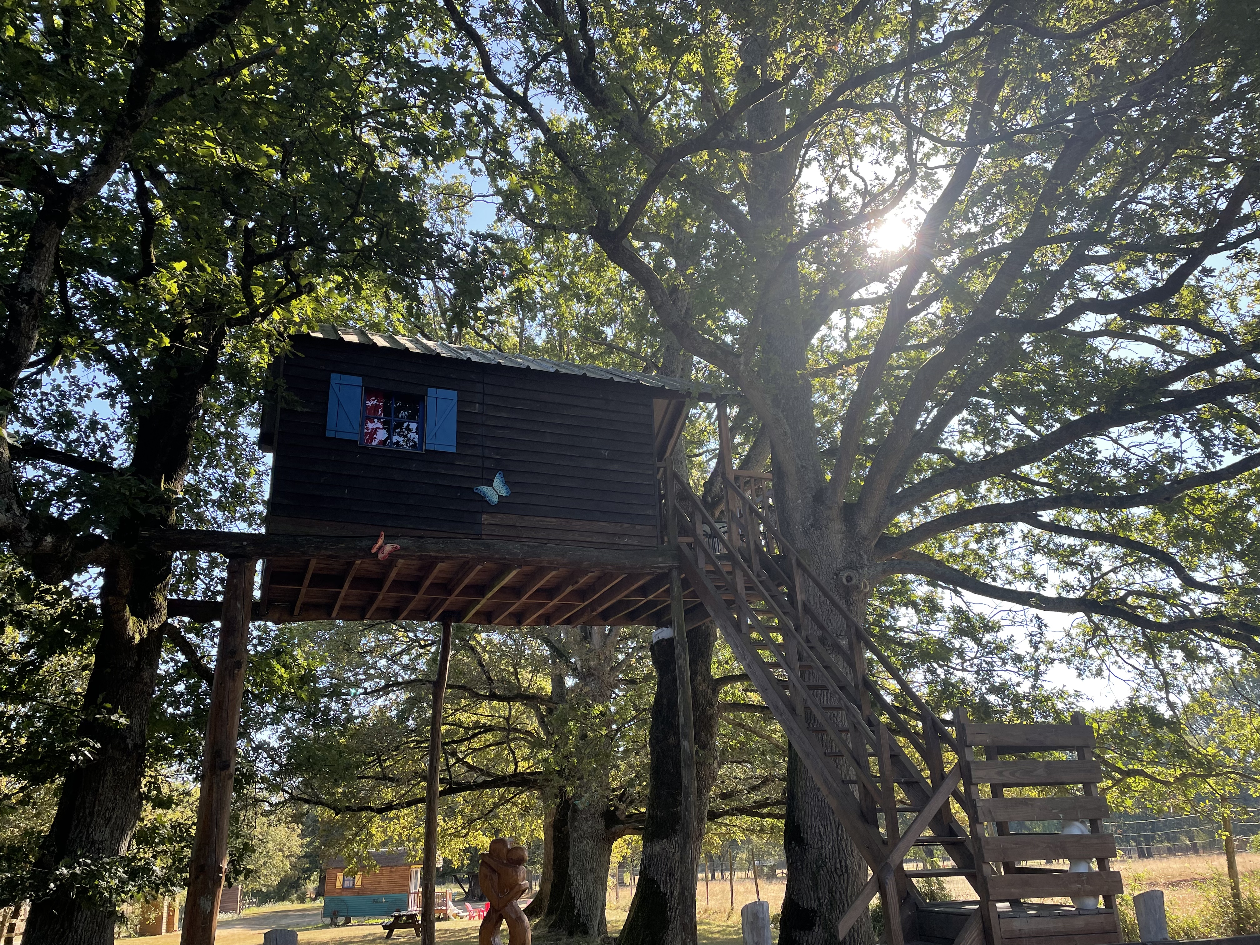 Photo n° 1 de l'avis de Jeanfrançois.t fait le 09/08/2022 à 16:16