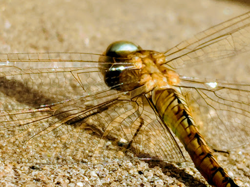 Casino «Hollywood Casino & Hotel Joliet», reviews and photos, 777 Hollywood Blvd, Joliet, IL 60436, USA