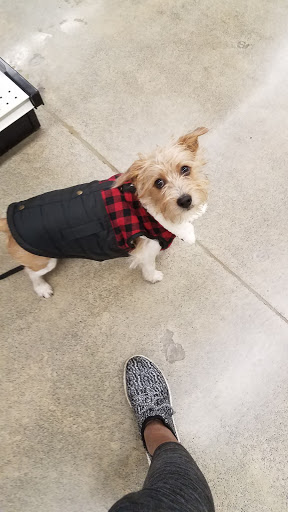 Pet Supply Store «Petco Animal Supplies», reviews and photos, 1419 Towne Square Blvd NW, Roanoke, VA 24019, USA