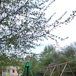 Photo n°34 de l'avis de Mauro.i fait le 30/04/2022 à 10:34 sur le  Antico Podere dei Conti di Padoin Carlo à Susegana