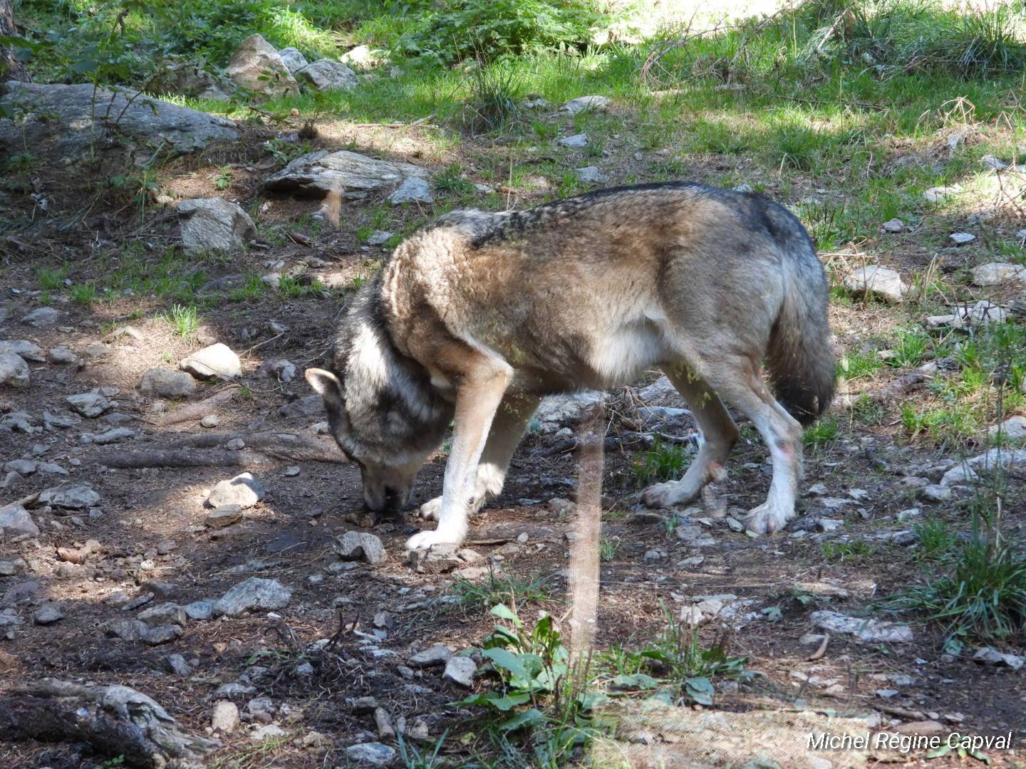 Photo n° 2 de l'avis de michel.a fait le 03/10/2019 à 13:25