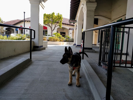 Pet Supply Store «Kahoots Pet Store», reviews and photos, 13179 Black Mountain Rd, San Diego, CA 92129, USA