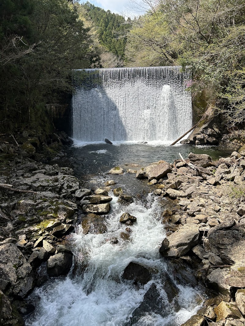 森の中のダム滝