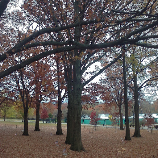 Park «Van Cortlandt Park», reviews and photos, Broadway and Vancortlandt Park S, Bronx, NY 10462, USA