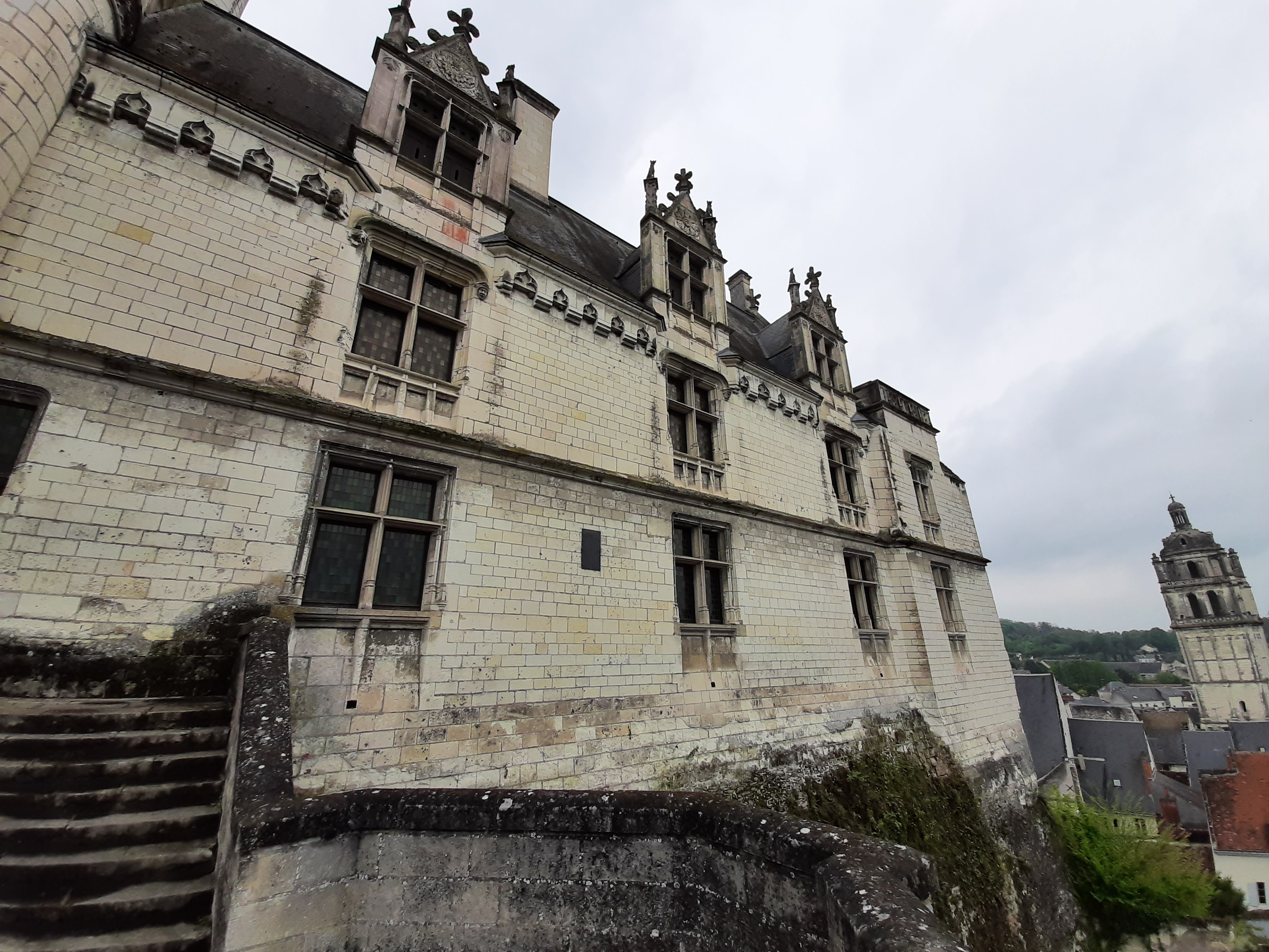 Photo n° 17 de l'avis de Olive.. fait le 26/04/2022 à 19:12