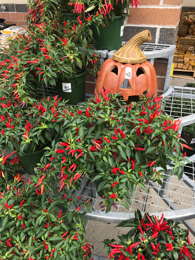 Shopping Mall «Constant Friendship Shopping Center», reviews and photos, 3438 Emmorton Rd, Abingdon, MD 21009, USA