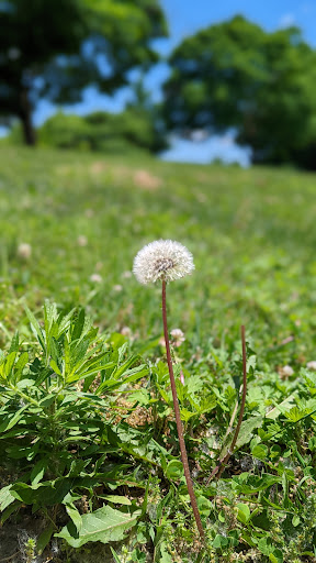 Nature Preserve «Grange Insurance Audubon Center», reviews and photos, 505 W Whittier St, Columbus, OH 43215, USA