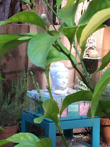 Day Spa «Spa Santangelo formally Balance Studio Spa», reviews and photos, 912 Lakeside Dr, Felton, CA 95018, USA