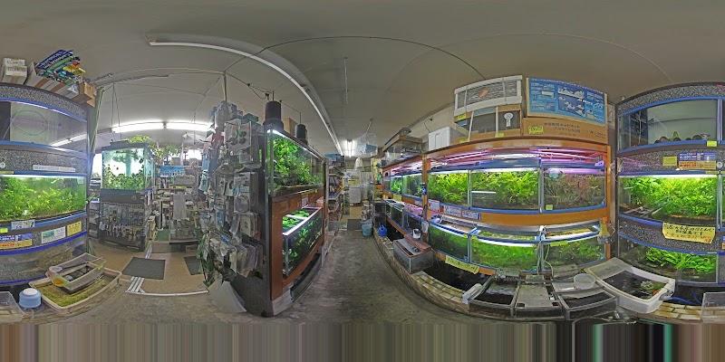 田中金魚 愛知県豊橋市平川本町 ペットショップ ペット グルコミ