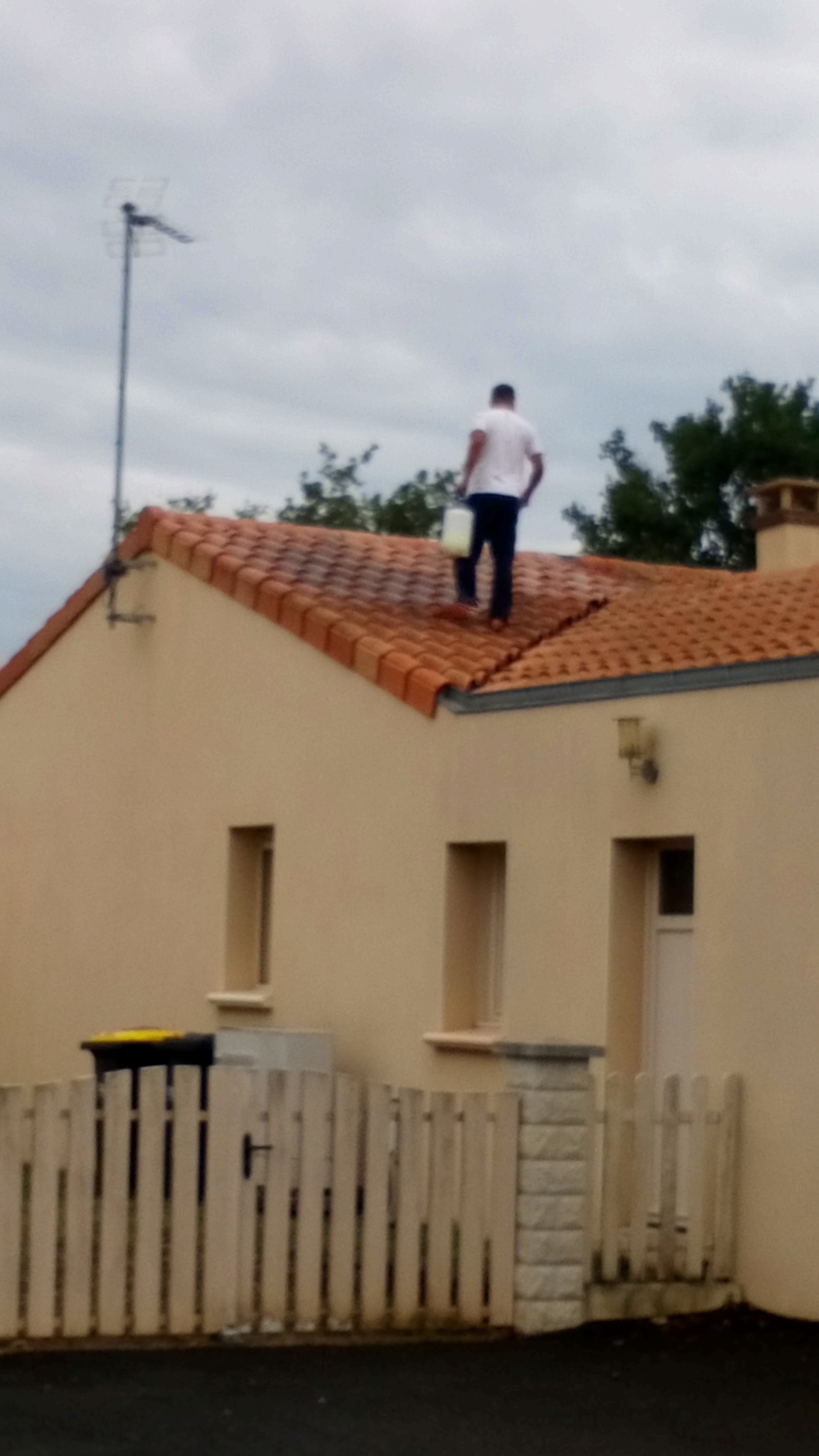 Photo n° 2 de l'avis de Ulysse.o fait le 31/08/2022 à 12:23