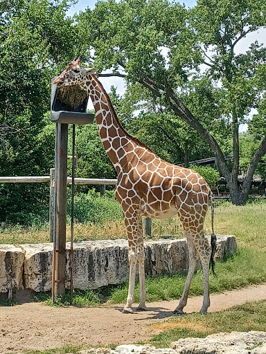 Zoo «Sedgwick County Zoo», reviews and photos, 5555 Zoo Boulevard, Wichita, KS 67212, USA