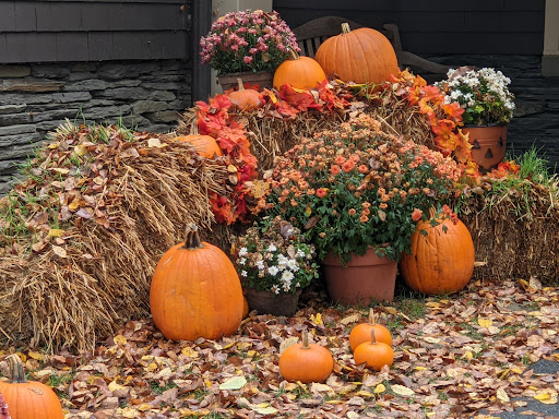 Historical Place «Marsh-Billings-Rockefeller National Historical Park», reviews and photos, 54 Elm St, Woodstock, VT 05091, USA