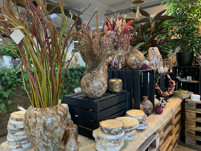 De Bloemenloods - Bloemist