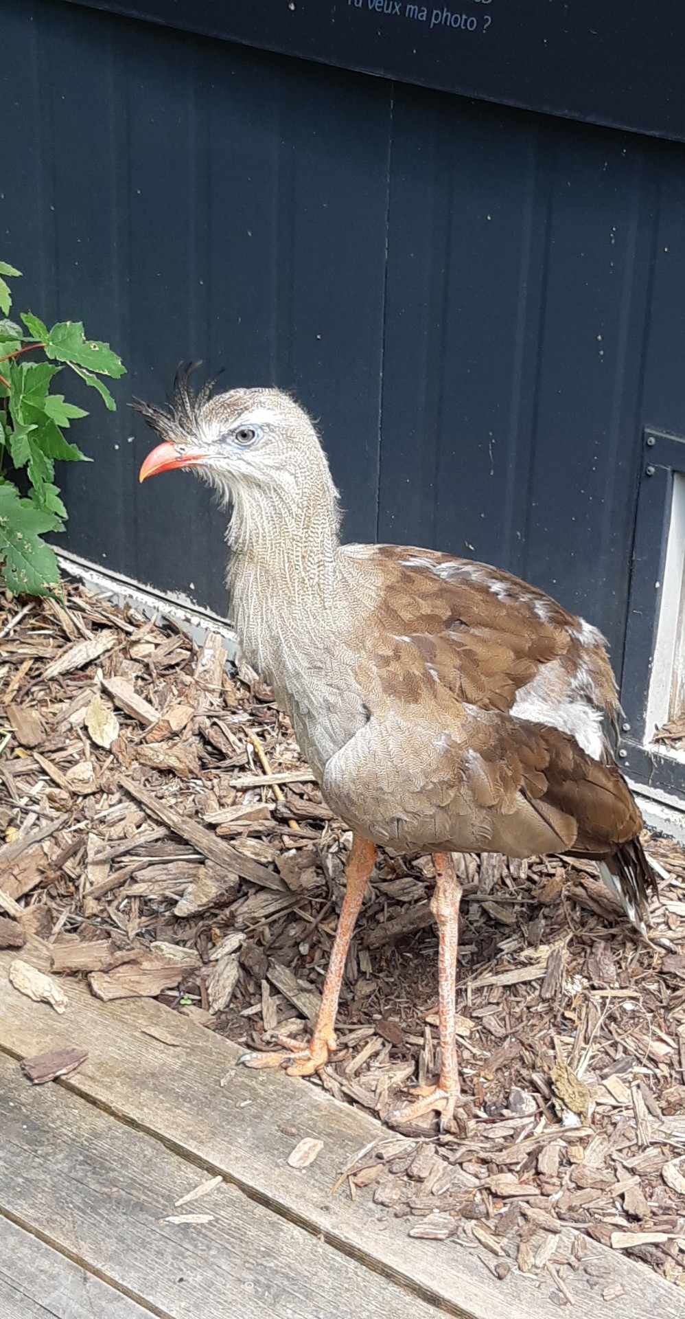 Photo n° 3 de l'avis de Patrice.u fait le 04/07/2023 à 13:33