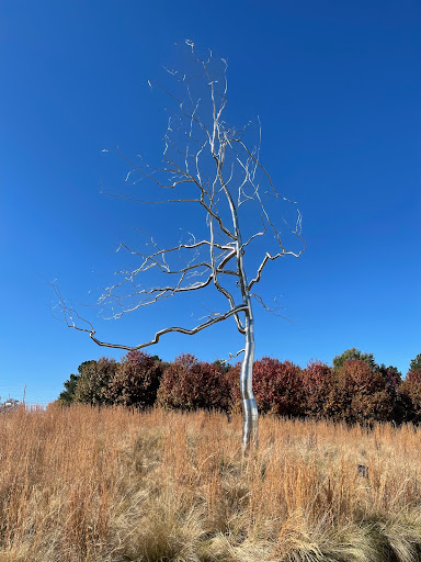 Art Museum «North Carolina Museum of Art», reviews and photos, 2110 Blue Ridge Rd, Raleigh, NC 27607, USA