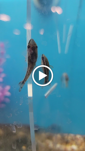 Pet Supply Store «Petco Animal Supplies», reviews and photos, 3705 E Colfax Ave #102, Denver, CO 80206, USA