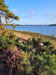 Photo n°13 de La Cabane de Cadoudal à Locoal-Mendon ()