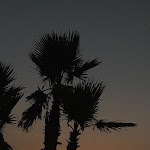 Photo n°5 de l'avis de Lillo.o fait le 18/08/2022 à 12:43 sur le  OceanoMare à San Leone