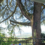 Photo n°2 de l'avis de auranina2007. fait le 27/07/2023 à 21:26 sur le  Ristorante Pizzeria San Vigilio à Bergamo