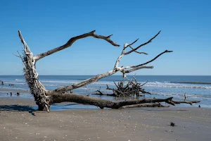 Driftwood Beach image