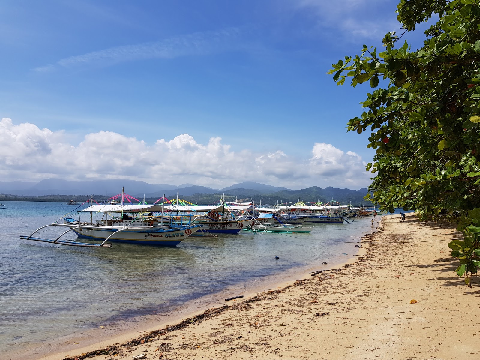 Ramesamey Island Beach photo #8