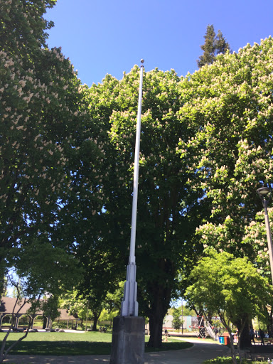 Park «Dawson Park», reviews and photos, 2926 N Williams Ave, Portland, OR 97227, USA