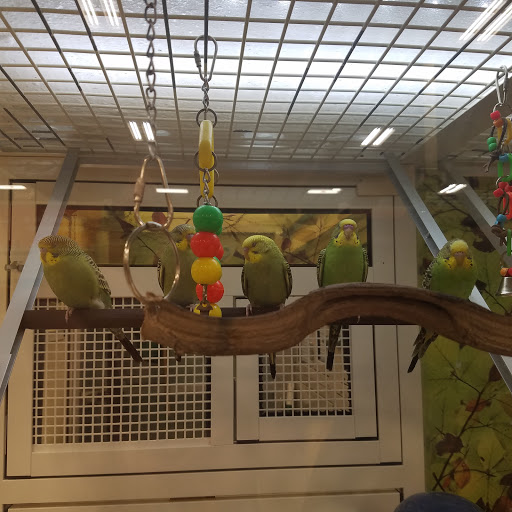 Pet Supply Store «PetSmart», reviews and photos, 8537 W Grand River Ave, Brighton, MI 48116, USA