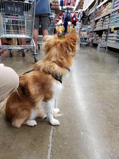 Pet Supply Store «Pet Club Fairfield», reviews and photos, 5125 Business Center Dr, Fairfield, CA 94534, USA