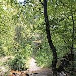 Photo n° 5 de l'avis de Troll's.e fait le 28/07/2023 à 07:53 pour Forêt de Broceliande, Val sans Retour à Tréhorenteuc