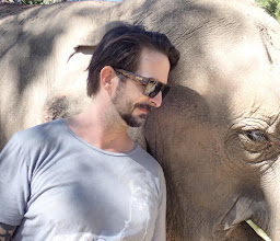 JK Karen Tours and Elephants in the Forest photo