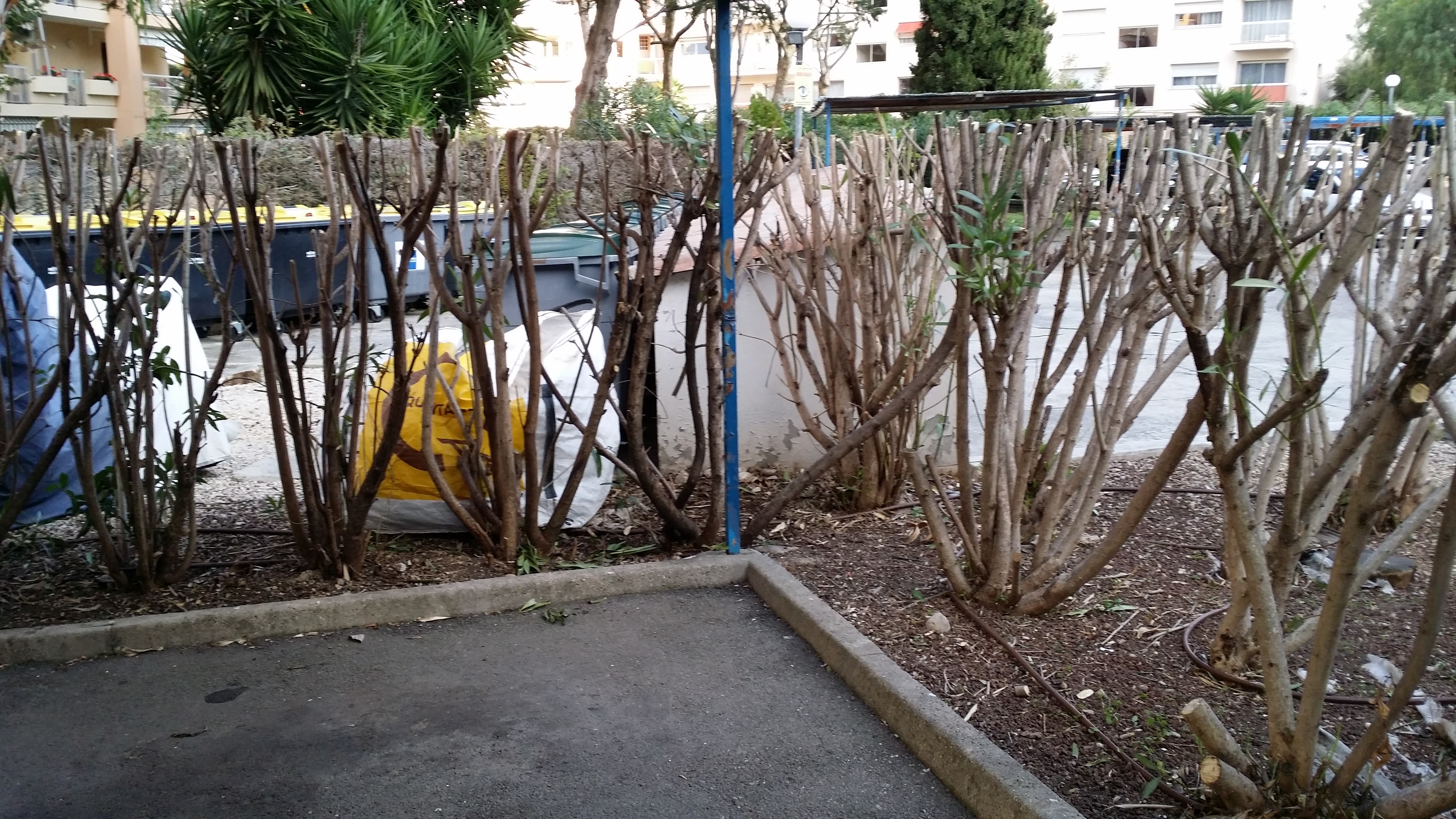 Photo n° 5 de l'avis de miranda.l fait le 14/12/2021 à 14:20