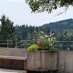 Photo n°3 de l'avis de Roland.a fait le 29/07/2019 à 05:19 sur le  Die Halde à Oberried