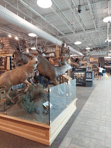 Sporting Goods Store «SCHEELS», reviews and photos, 1200 Scheels Drive, Sparks, NV 89434, USA