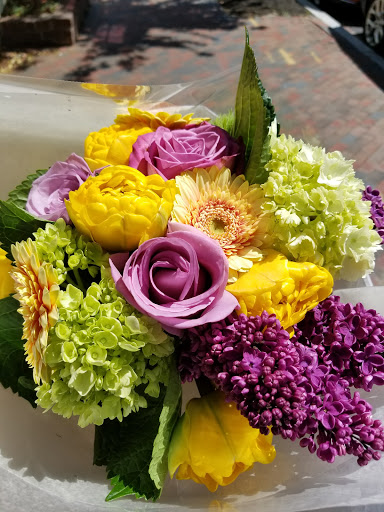 Florist «Ultra Violet Flowers», reviews and photos, 1218 31st St NW, Washington, DC 20007, USA