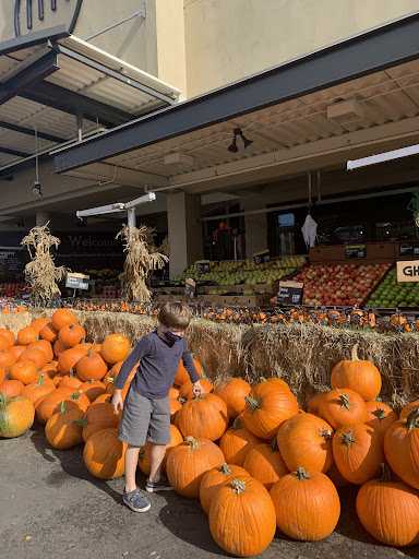 Grocery Store «Metropolitan Market Sand Point», reviews and photos, 5250 40th Ave NE, Seattle, WA 98105, USA