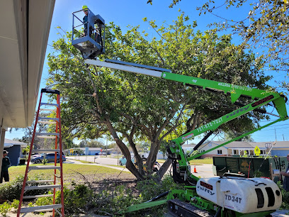 Hulk Tree Service