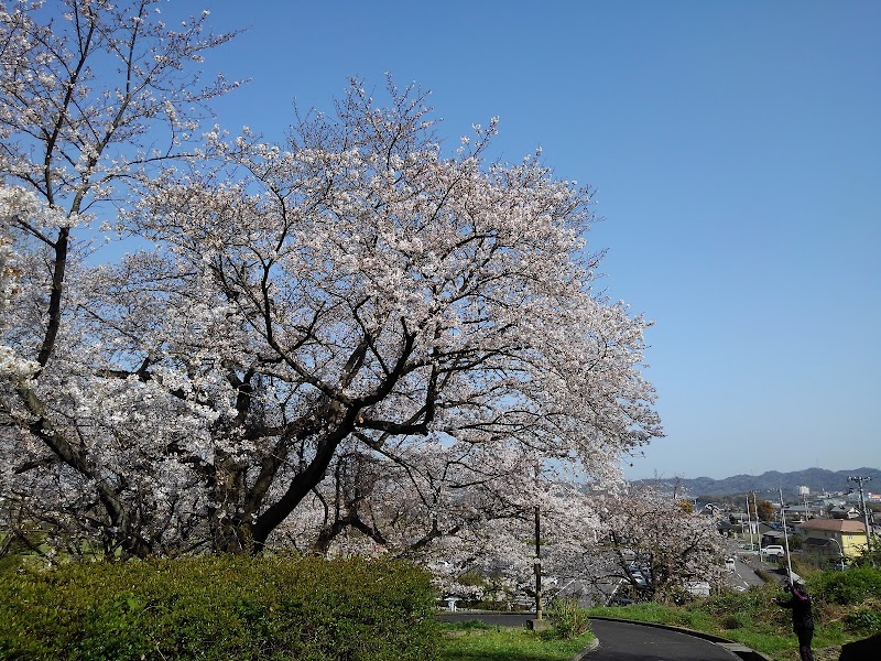 新居浜市山根市民グラウンド