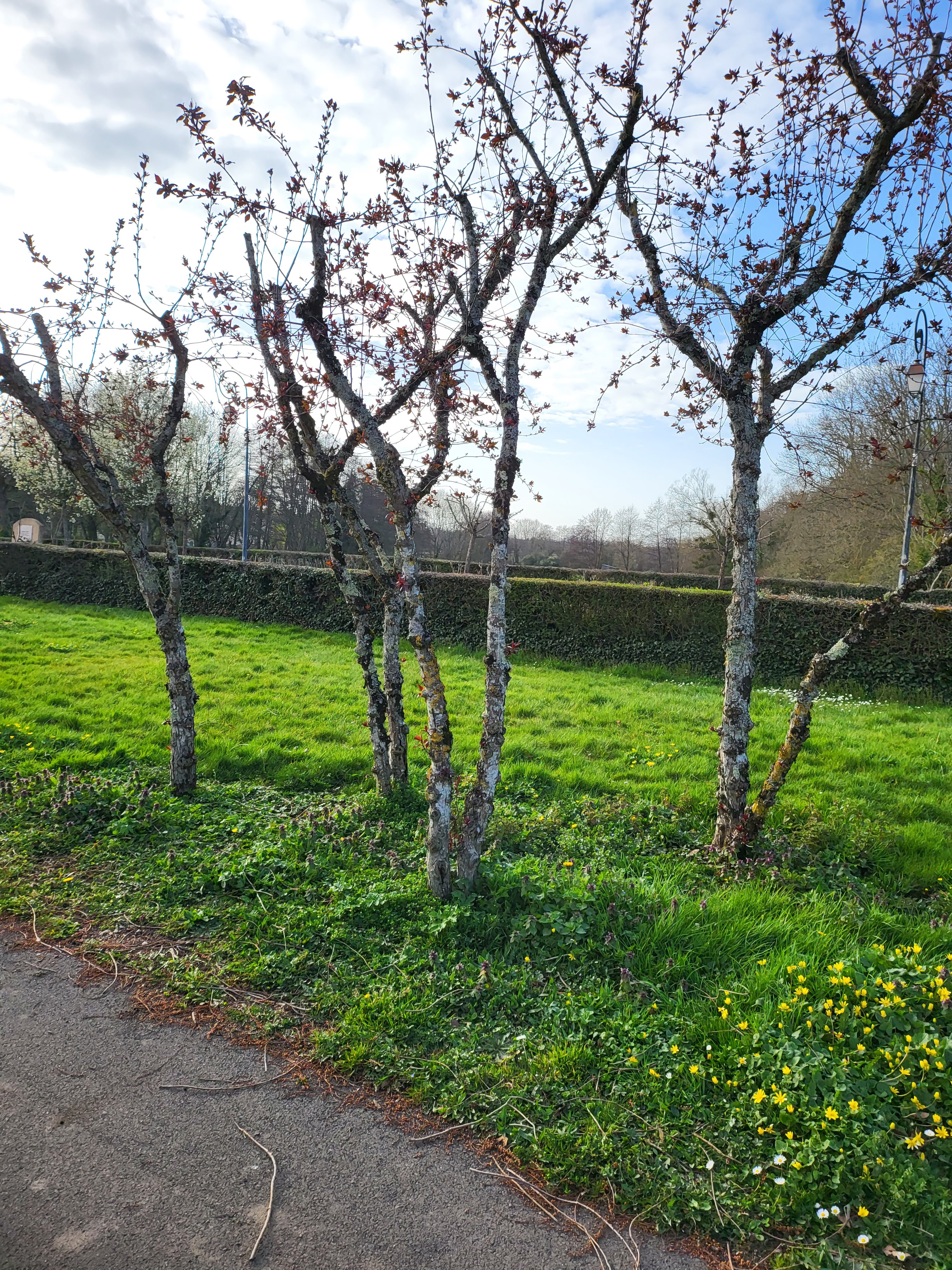 Photo n° 20 de l'avis de Michael.l fait le 21/03/2022 à 17:43