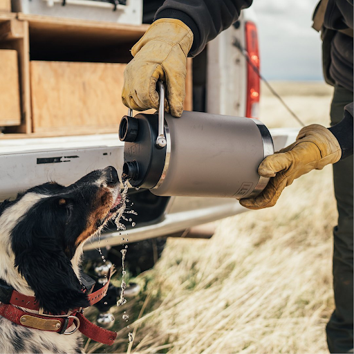 Camping Store «Out There Outfitters», reviews and photos, 123 N Wayne Ave, Wayne, PA 19087, USA