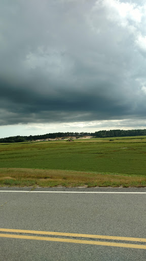 State Park «Myles Standish State Forest», reviews and photos, 194 Cranberry Rd, Carver, MA 02330, USA