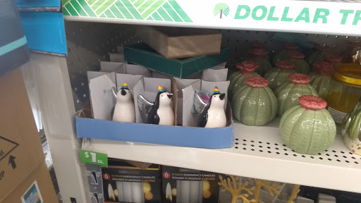 Dollar Store «Dollar Tree», reviews and photos, 7709 W Roosevelt Rd, Forest Park, IL 60130, USA