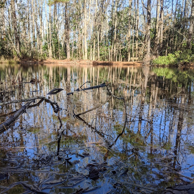 Bluethenthal Wildflower Preserve