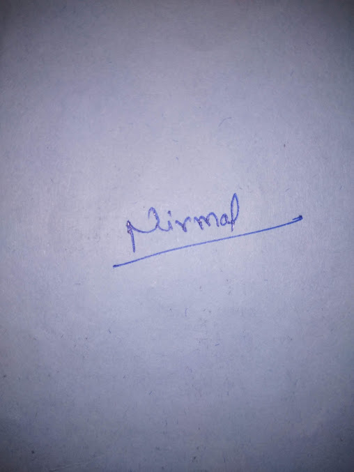 Google Maps image 13