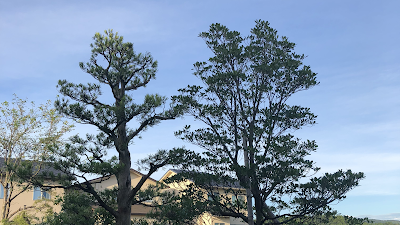 こむら造園