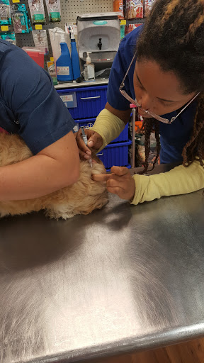 Pet Supply Store «Pet Supermarket», reviews and photos, 2924 13th St, St Cloud, FL 34769, USA