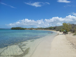 Playa La Jungla'in fotoğrafı çok temiz temizlik seviyesi ile