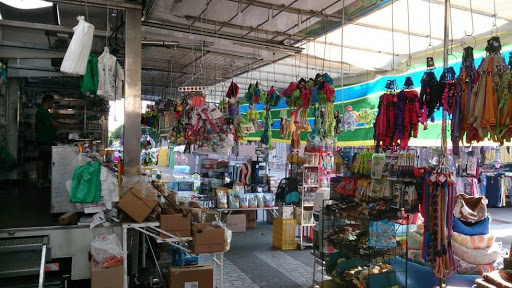 Pajarería Martinez - Piera